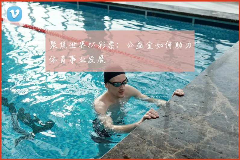 聚焦世界杯彩票：公益金如何助力体育事业发展