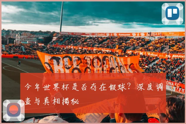 今年世界杯是否存在假球？深度调查与真相揭秘