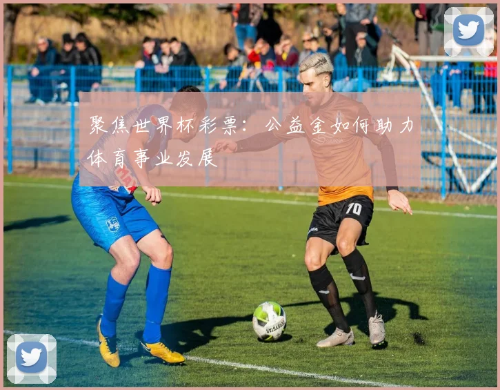 聚焦世界杯彩票：公益金如何助力体育事业发展